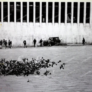Toma del Palacio de Justicia