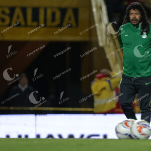 René Higuita
