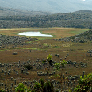 Parque Nacional Sumapaz