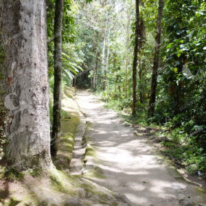 San Agustín