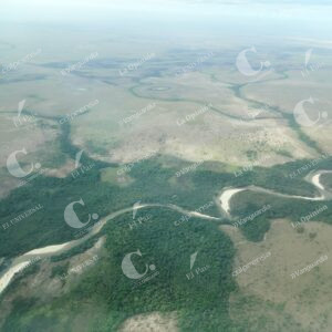 Amazonas