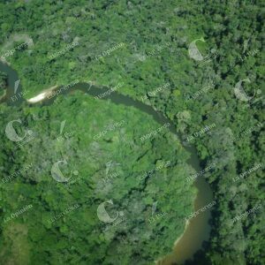 Amazonas