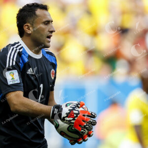 David Ospina