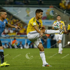 Teófilo Gutierrez