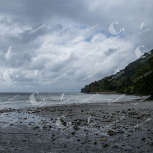 Isla Gorgona