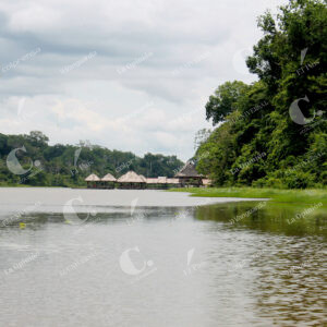 Amazonas