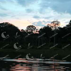 Amazonas