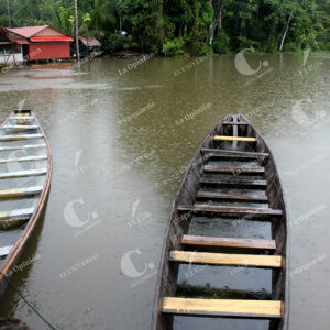 Amazonas