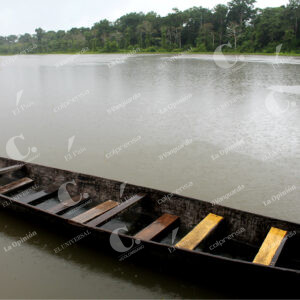 Amazonas