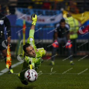 David Ospina