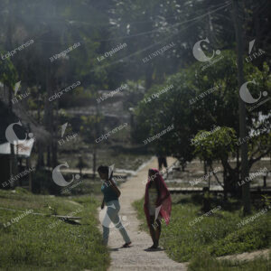 Amazonas