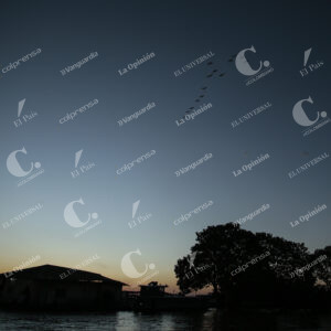 Amazonas