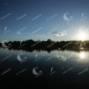 Amazonas