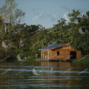 Amazonas