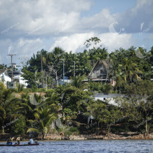 Amazonas