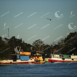 Amazonas
