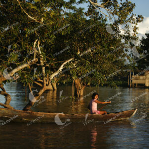 Amazonas