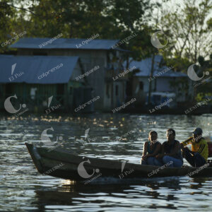 Amazonas