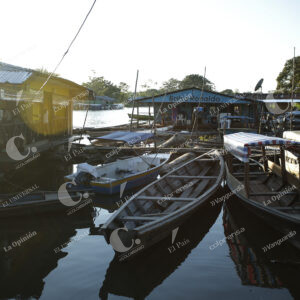 Amazonas