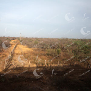 La Guajira