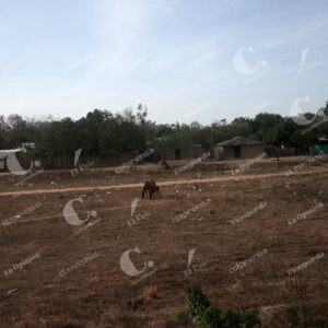 La Guajira