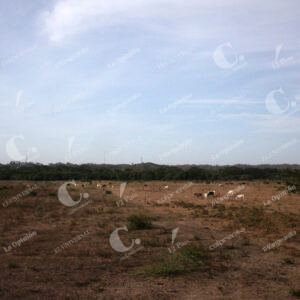 La Guajira