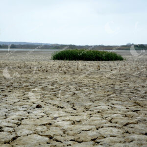 La Guajira