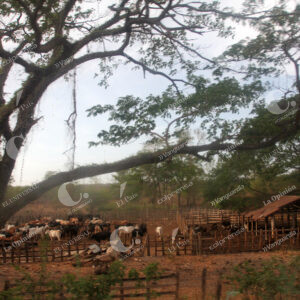La Guajira