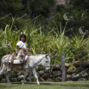 Pueblo indígena Arhuaco