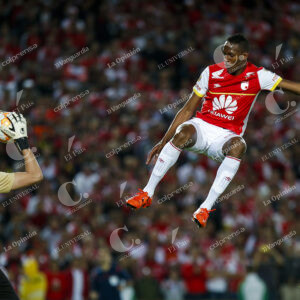 Yerry Mina