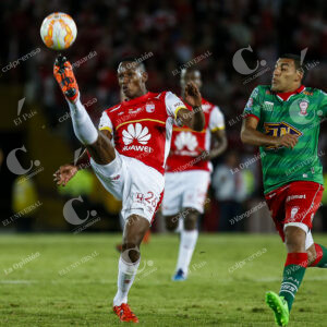 Yerry Mina
