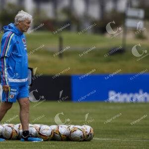 Néstor Pékerman