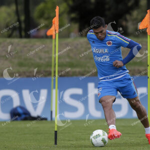 Teófilo Gutiérrez