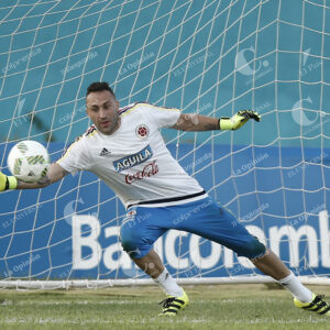 David Ospina