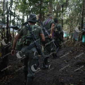 Décima Conferencia de las FARC