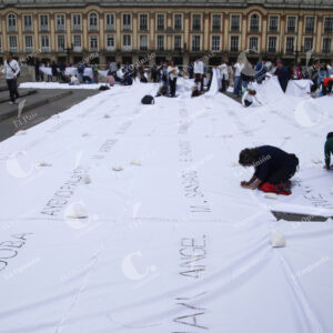 Sumando Ausencias - Doris Salcedo