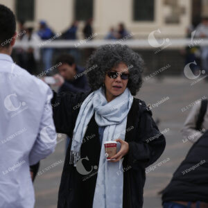 Doris Salcedo