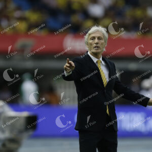 Néstor Pékerman