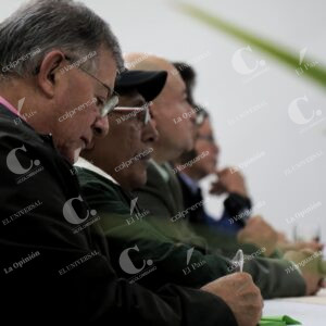 Excomandantes de la FARC