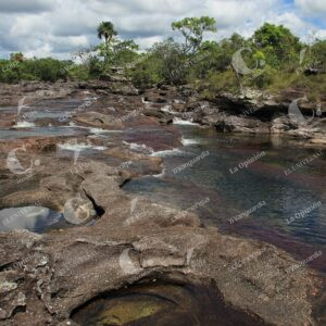 Caño Cristales, La Macarena, Meta