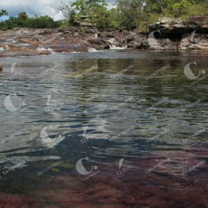 Caño Cristales, La Macarena, Meta