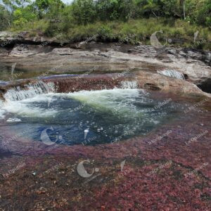 Caño Cristales, La Macarena, Meta