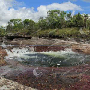 Caño Cristales, La Macarena, Meta