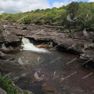 Caño Cristales, La Macarena, Meta
