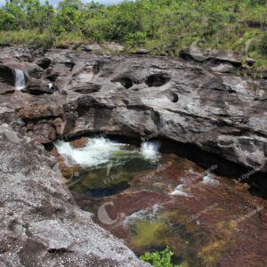 Caño Cristales, La Macarena, Meta