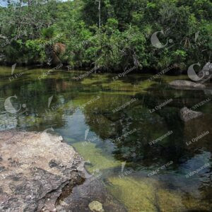 Caño Cristales, La Macarena, Meta