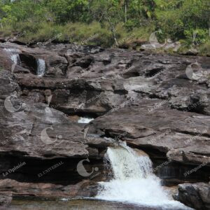Caño Cristales, La Macarena, Meta