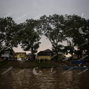 Isla de los micos, Amazonas