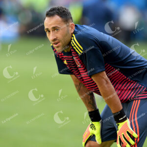 David Ospina