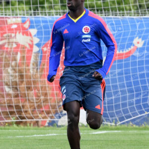 Davinson Sánchez